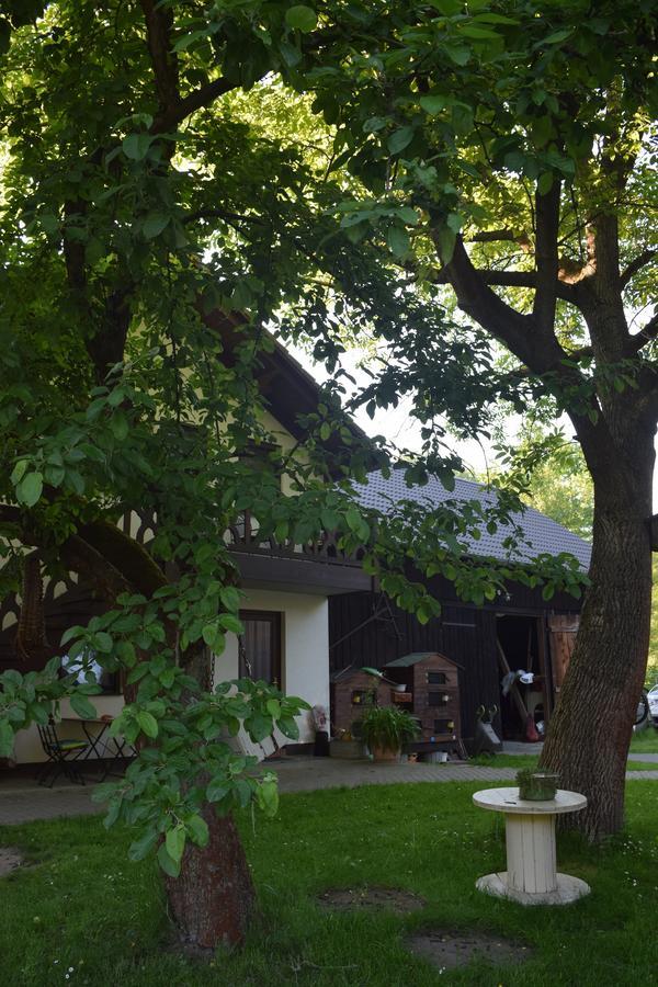 Gaestehaus Bohg Burg  Dış mekan fotoğraf